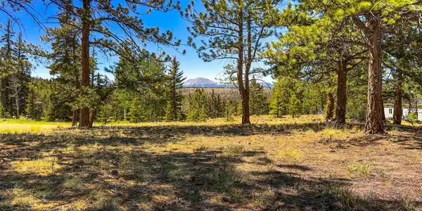 Image 2: Natural clearing ideal for a future homesi