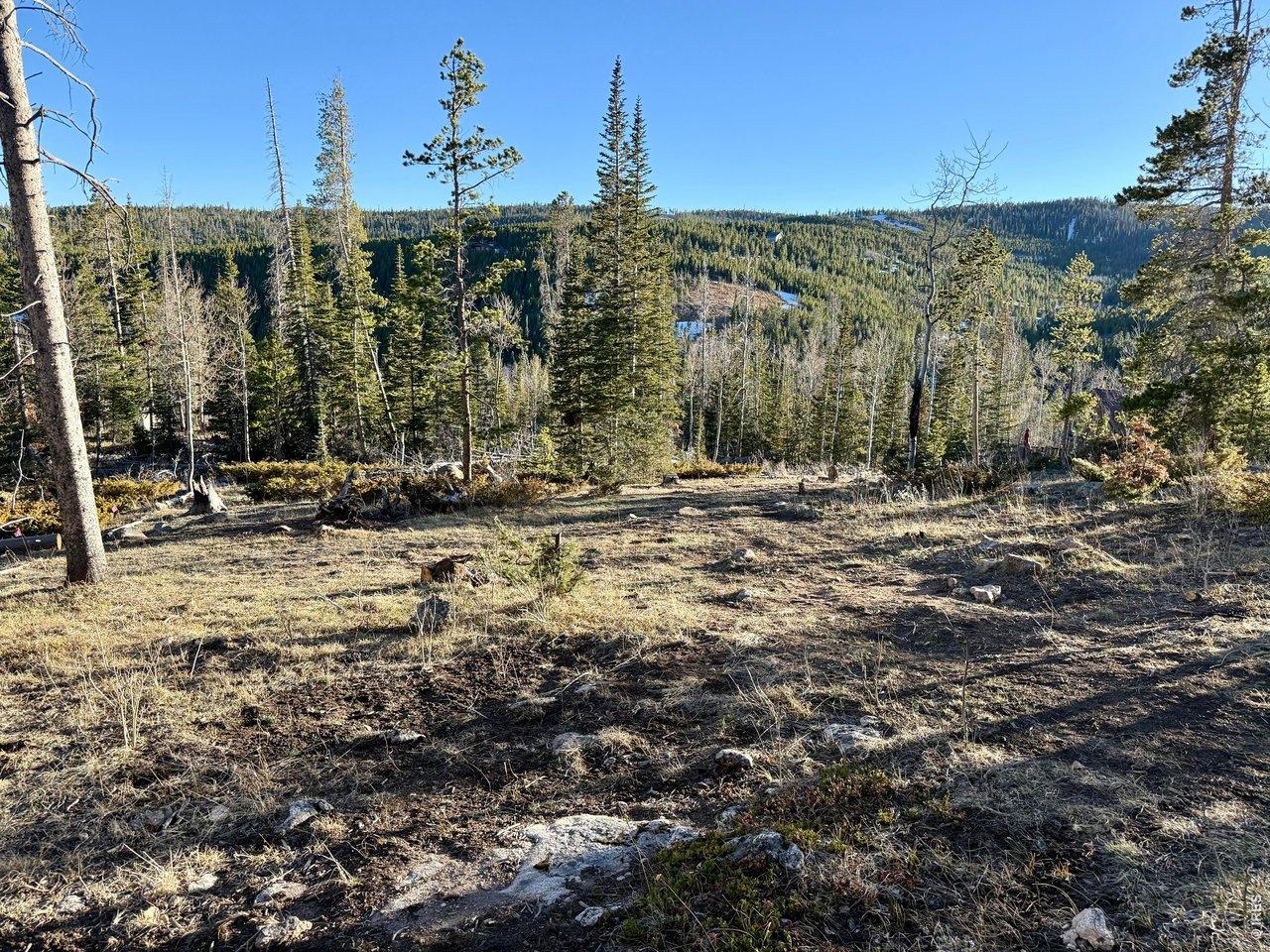 Image 4: Multiple areas on the lot perfect for camping, building, or relaxing in the outdoors.