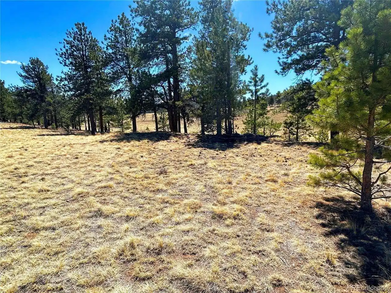 Image 1: Adjacent to National Forest!
