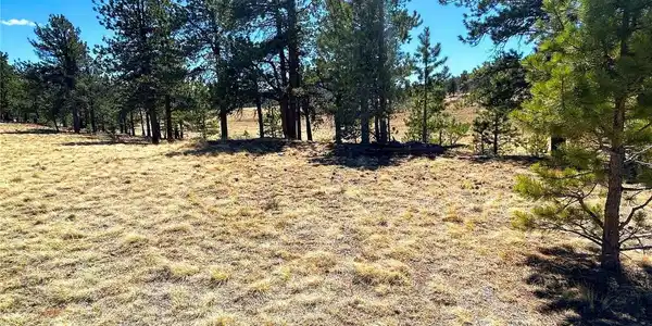 Singletree Rd