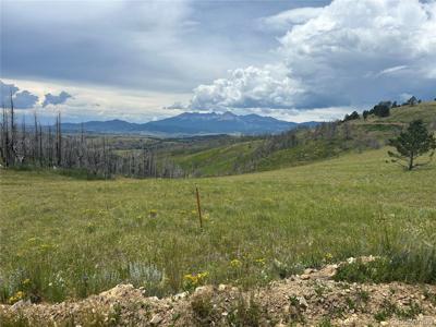 463 Forbes Wagon Creek Ranch