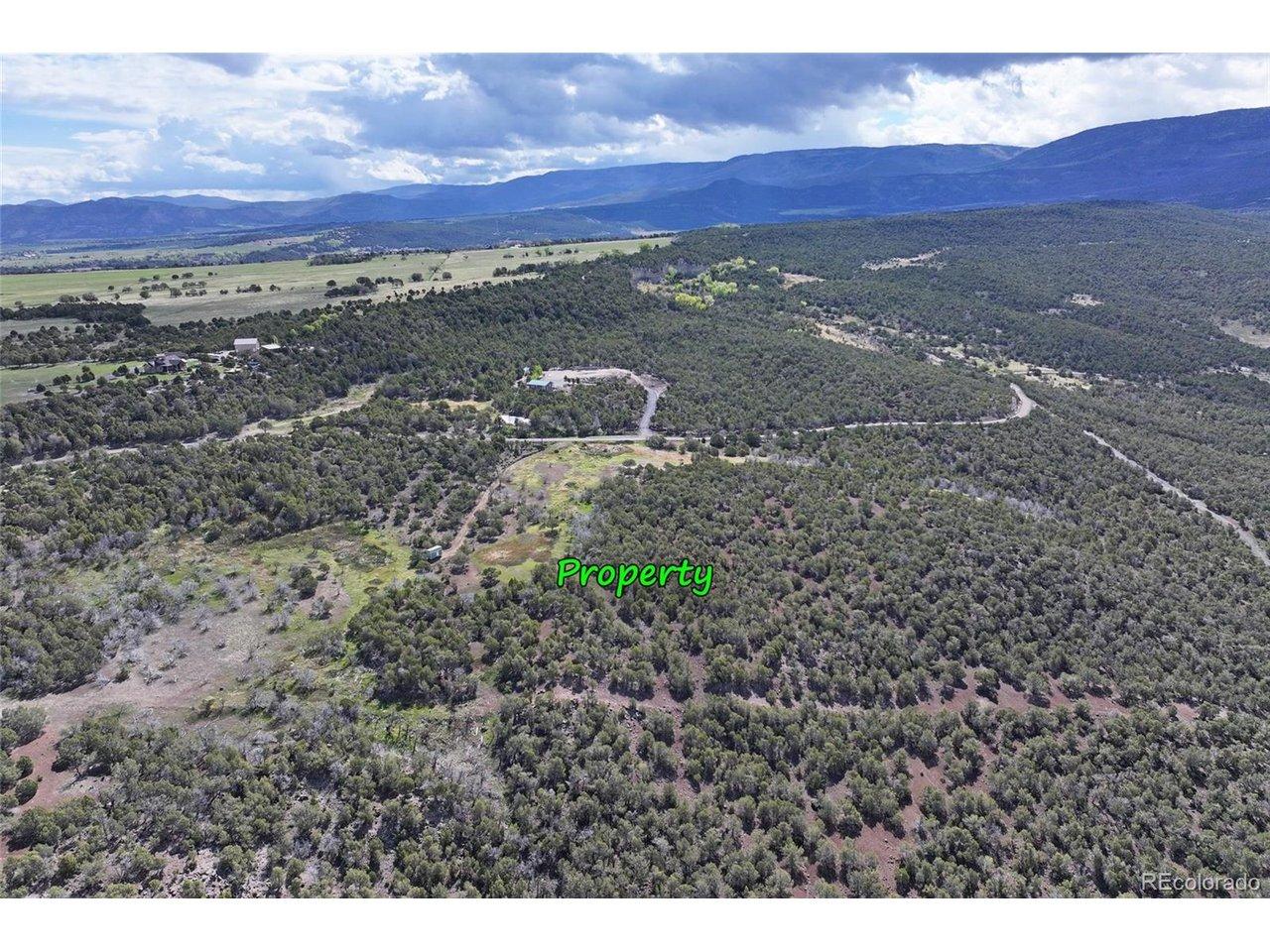 Image 4 Image 4
