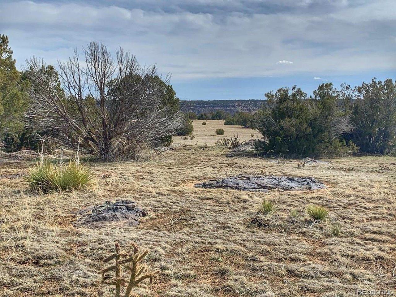 Image 4 Image 4