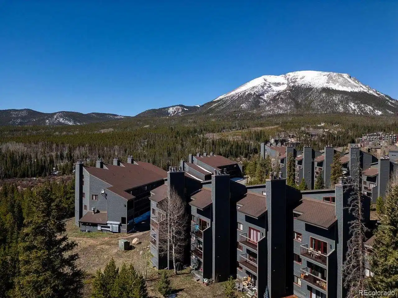Image 1 Image 1