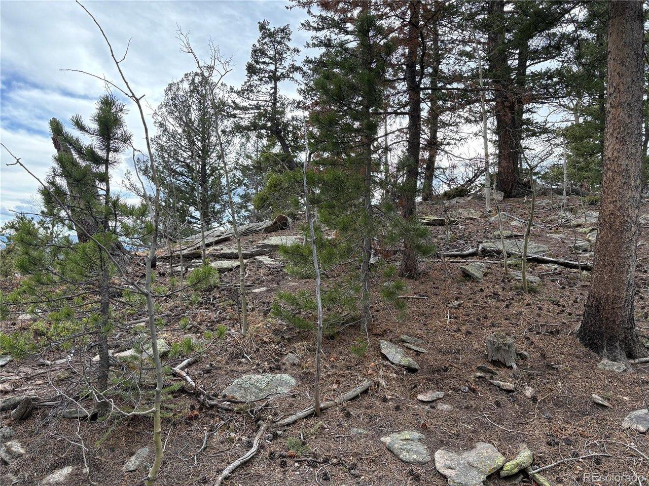 Image 3 Image 3