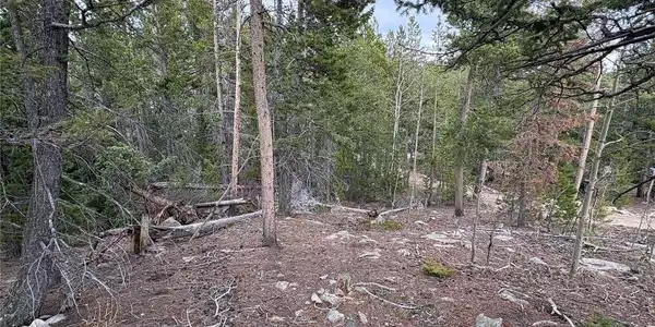 Image 4 Image 4