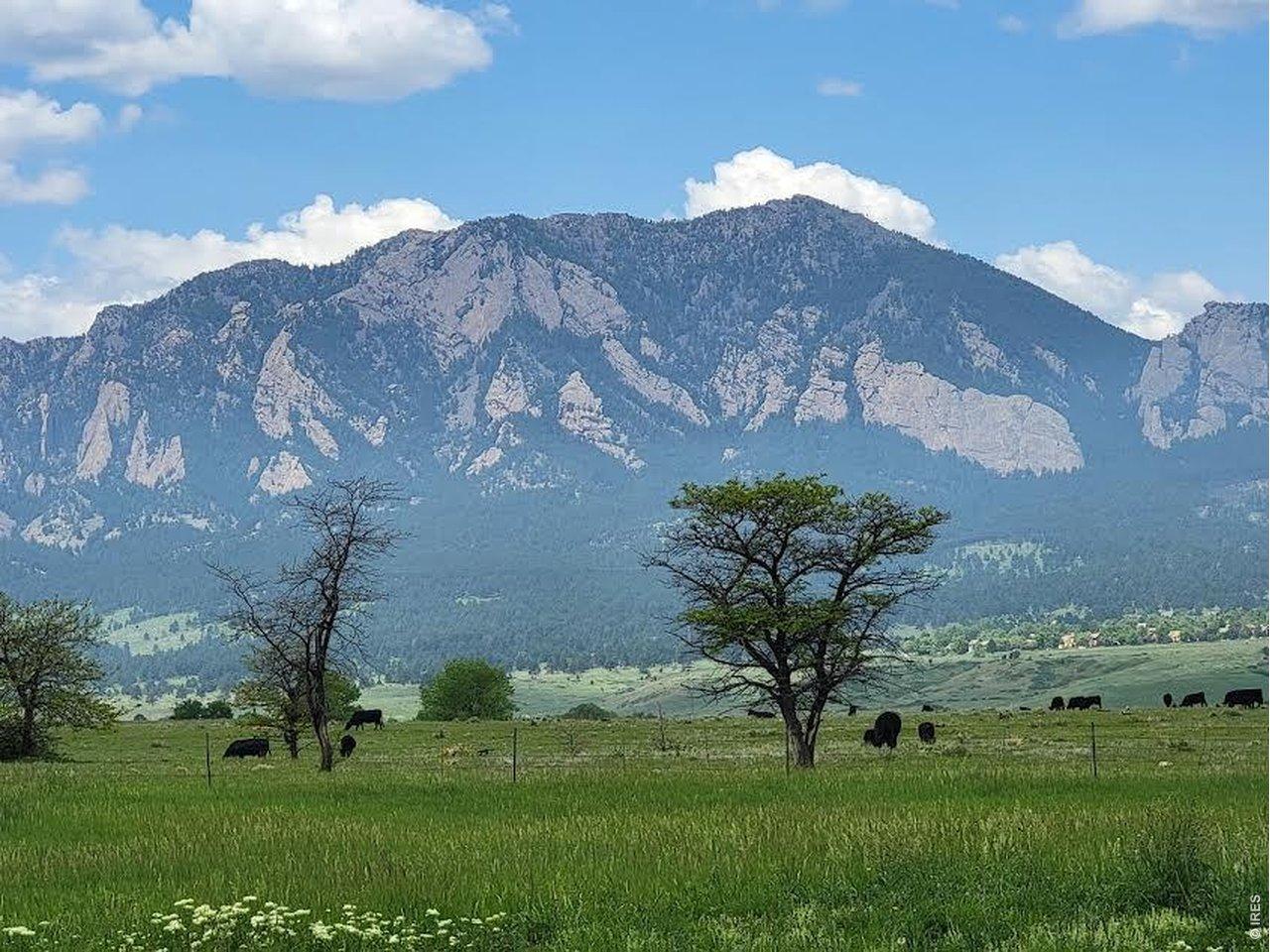 Image 2: Meet your neighbors...seasonal grazing on the open space.