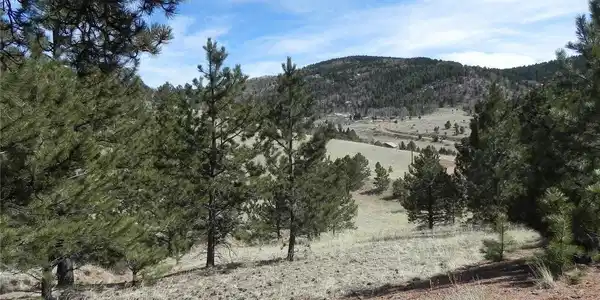 Image 2 Image 2