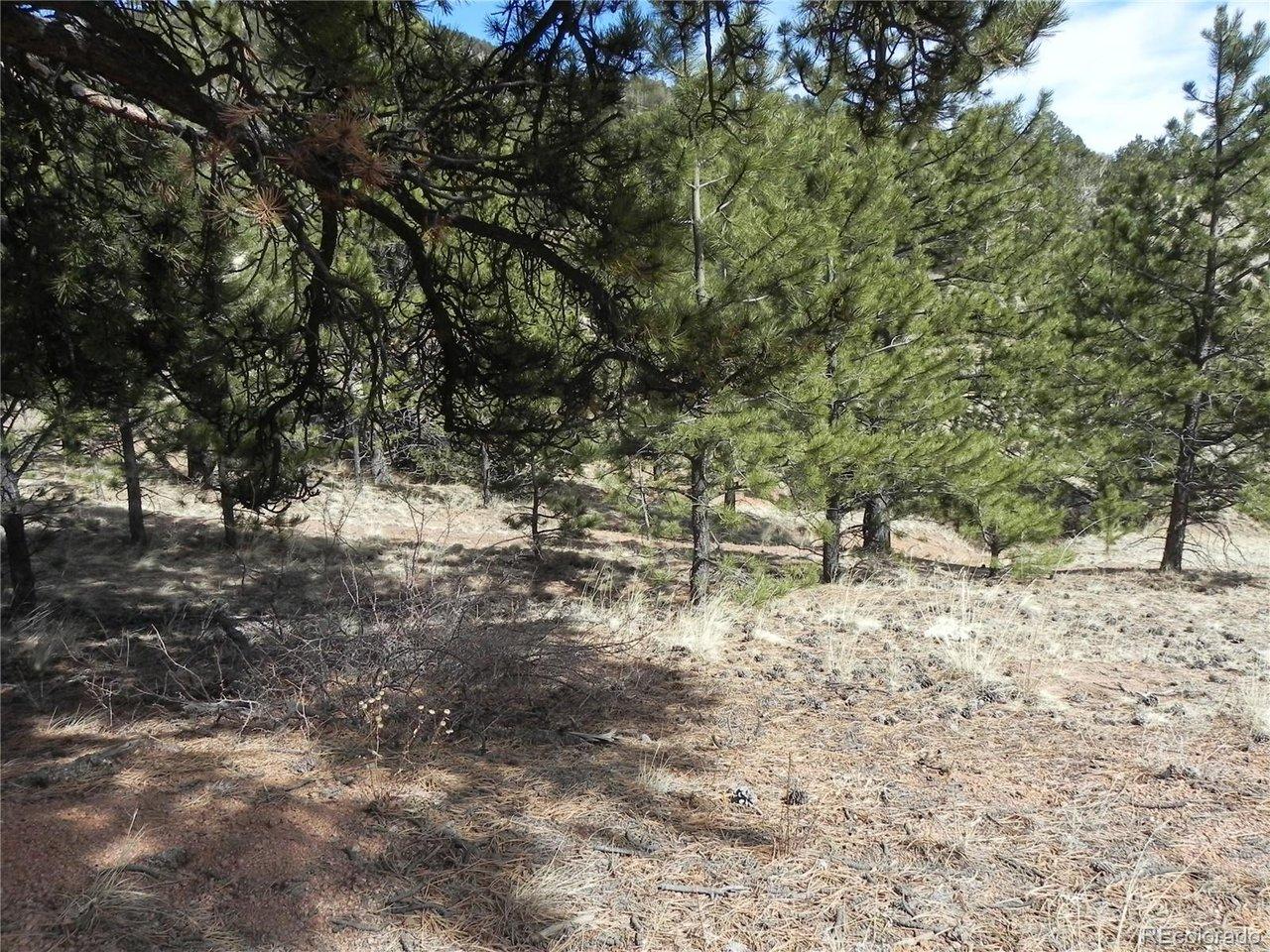 Image 3 Image 3