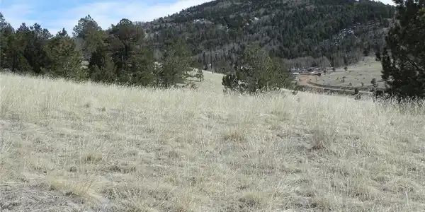 Image 4 Image 4