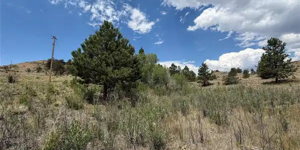 Image 4 Image 4