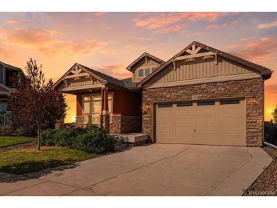10303 Pitkin Ct