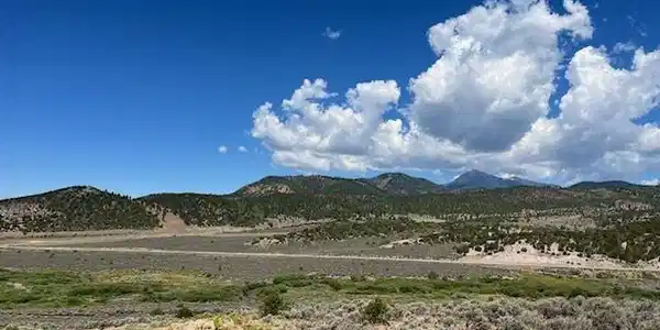 Image 4 Image 4