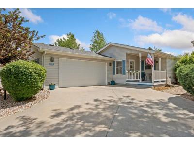 772 Vitala Dr