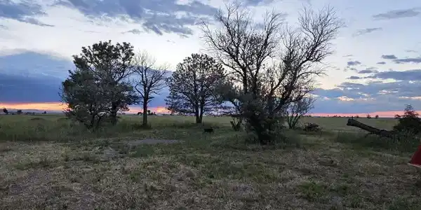Image 4 Image 4
