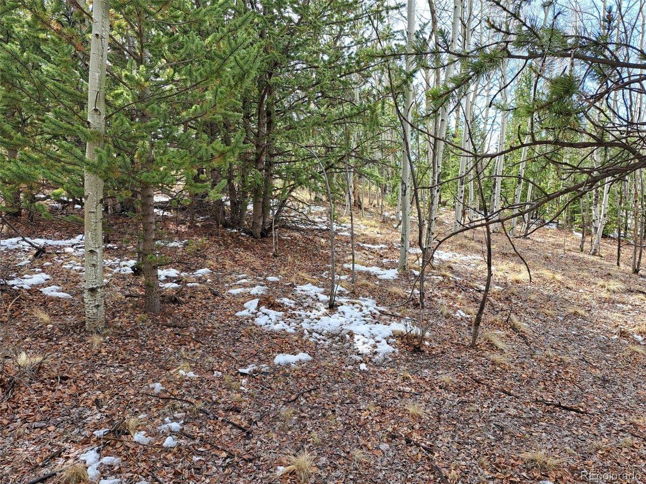 Image 3 Image 3