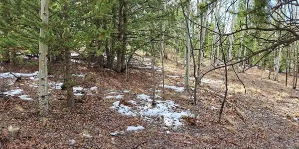 Image 3 Image 3
