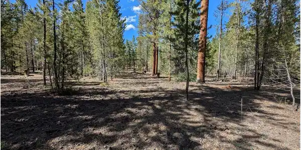 Image 3 Image 3