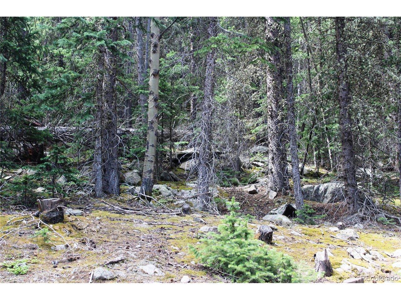 Image 3 Image 3