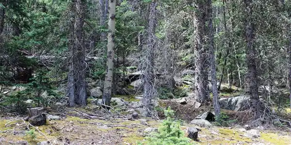 Image 3 Image 3