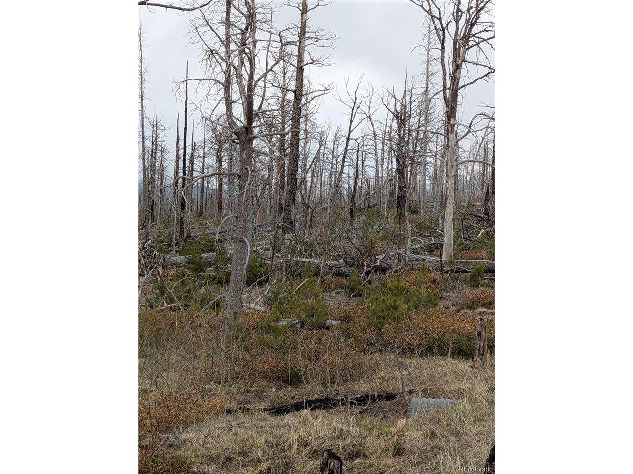 Image 4 Image 4