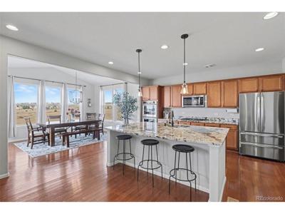 10952 Torreys Peak Way