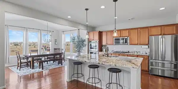 10952 Torreys Peak Way