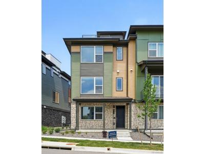 815 Promenade Dr