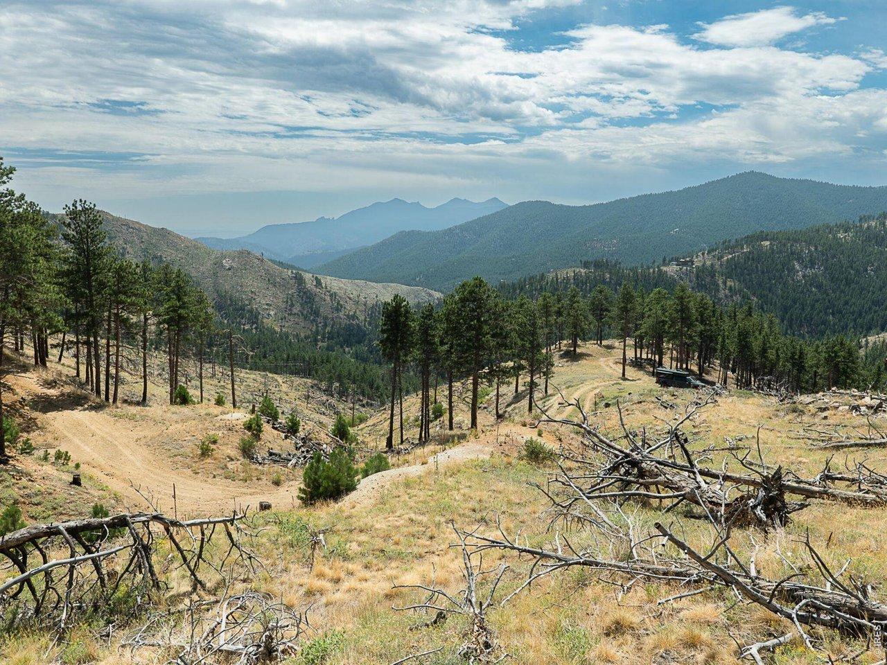 Image 3: This is a great lot to build a home. A home could sit right on the lots saddle offering amazing 360 views.