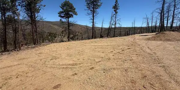 Image 4 Image 4