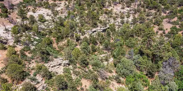 Image 3 Image 3