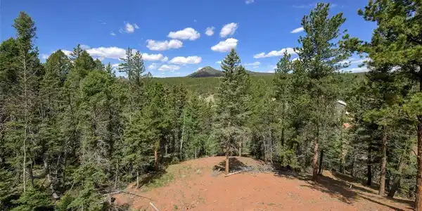 Image 3 Image 3