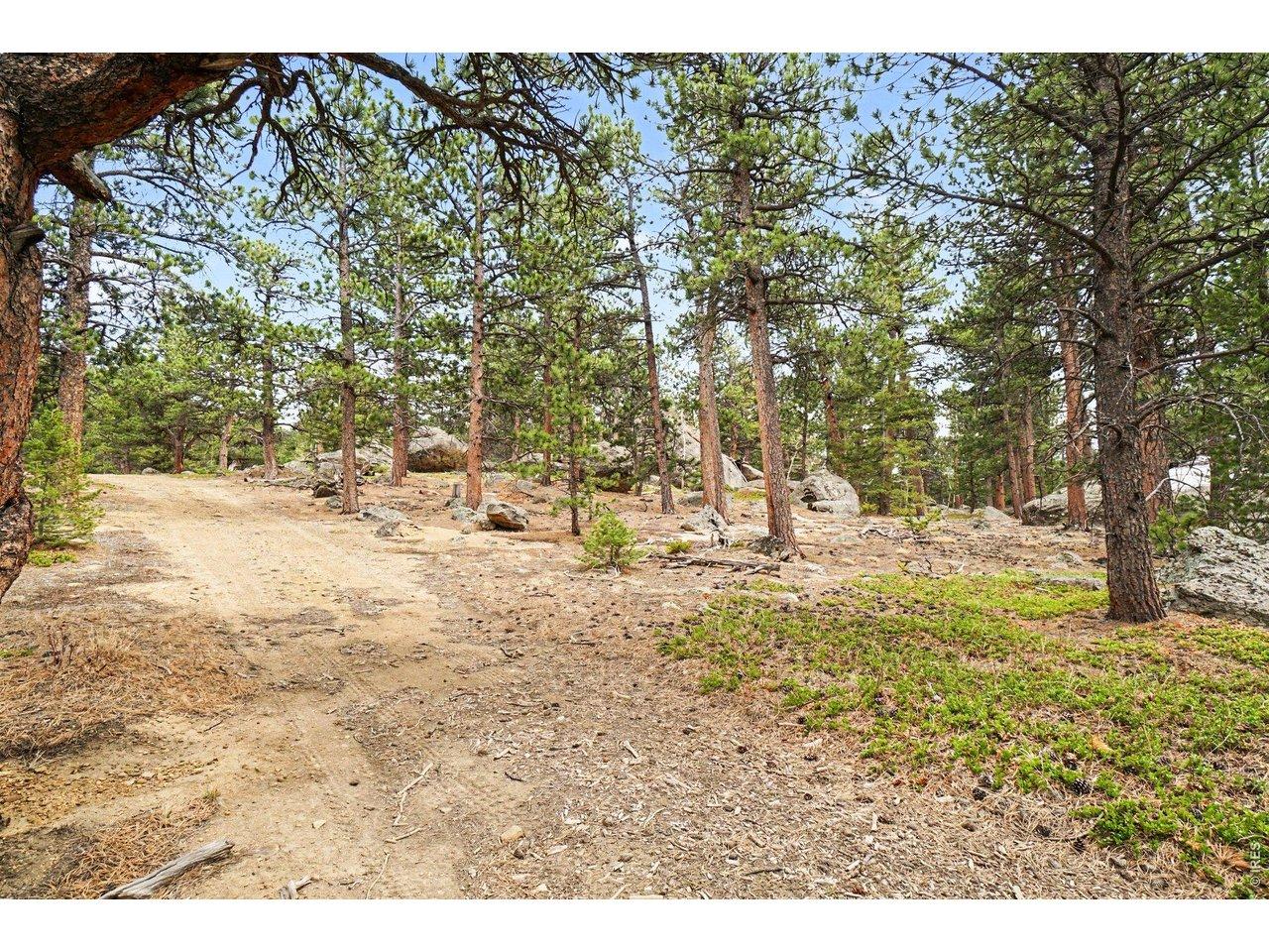 Image 4: Emergency access road that seperates the two lots. Image 4: Emergency access road that seperates the two lots.