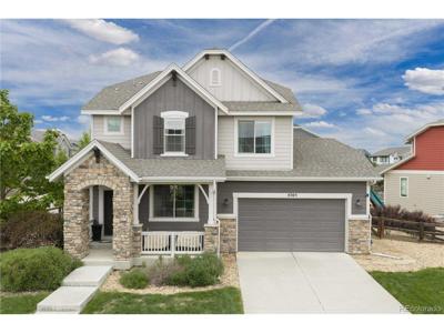 4305 Lyric Falls Dr