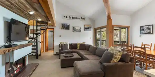 393 Wild Irishman Rd