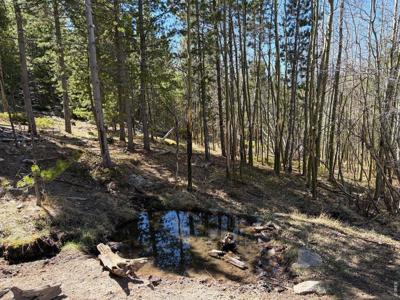 0 Bear Gulch Rd