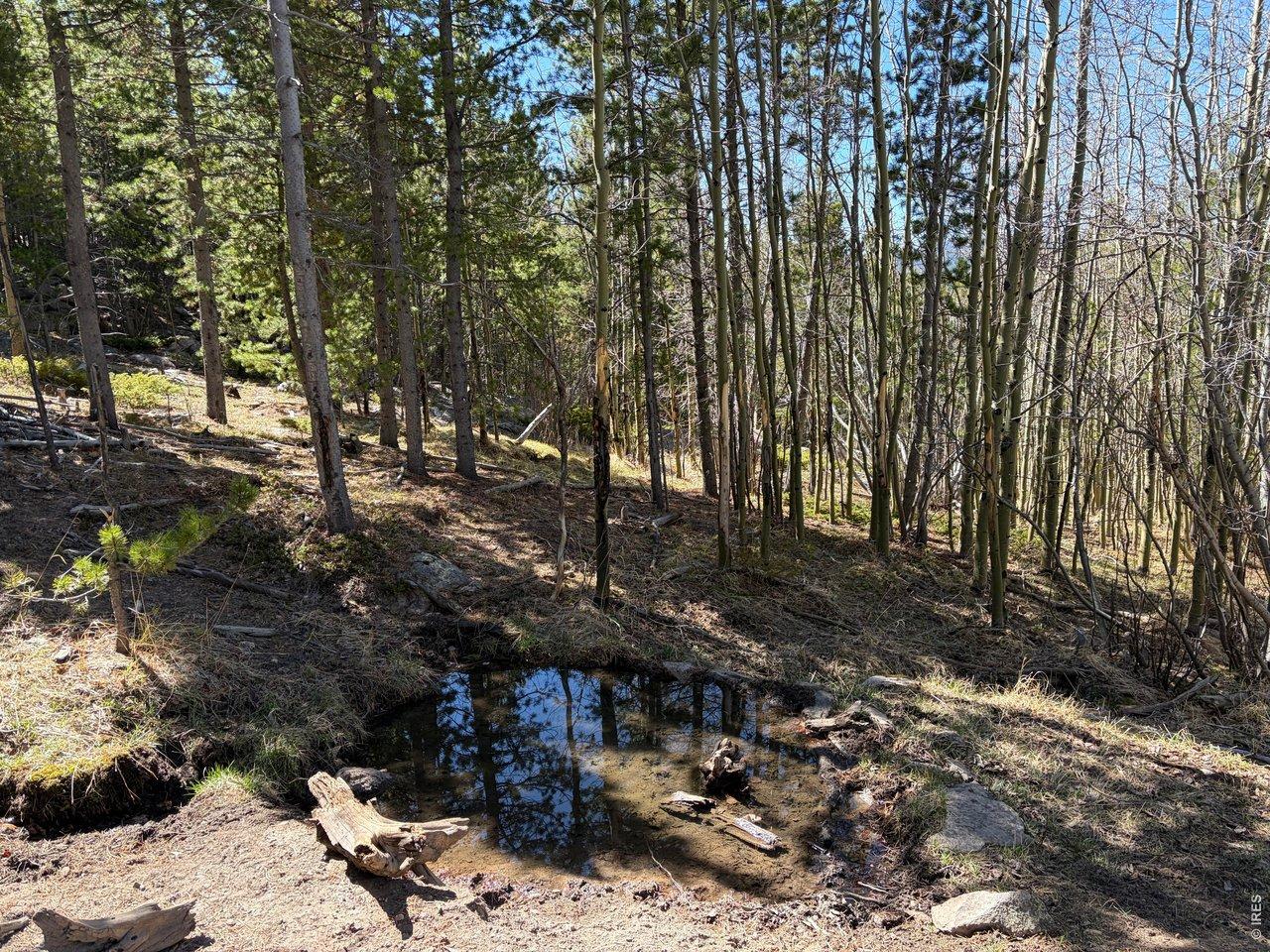Image 1: Mountain Spring Water Image 1: Mountain Spring Water