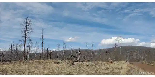 Image 4 Image 4