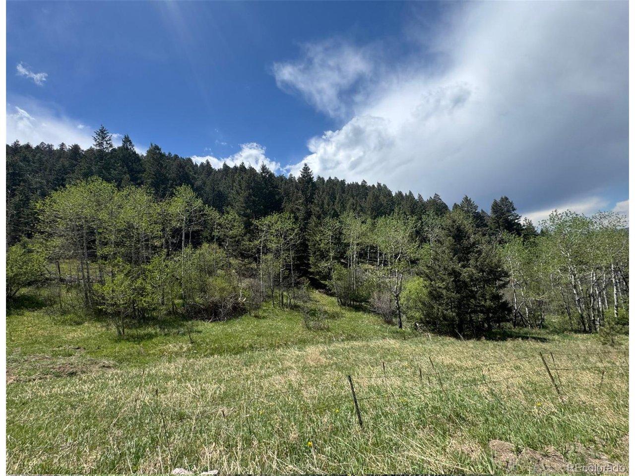 Image 3: Facing northwest Image 3: Facing northwest