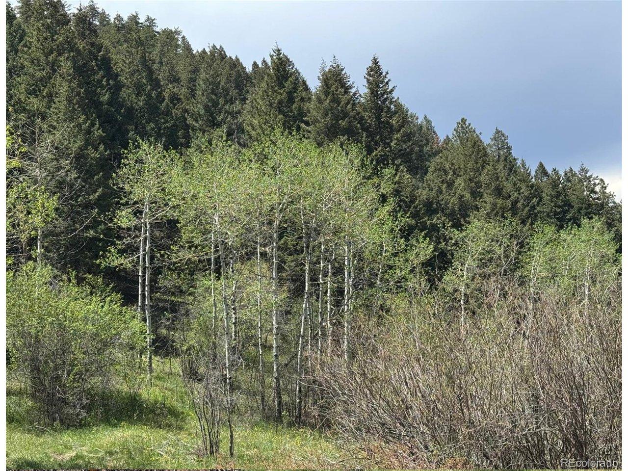 Image 4: Facing northwest Image 4: Facing northwest