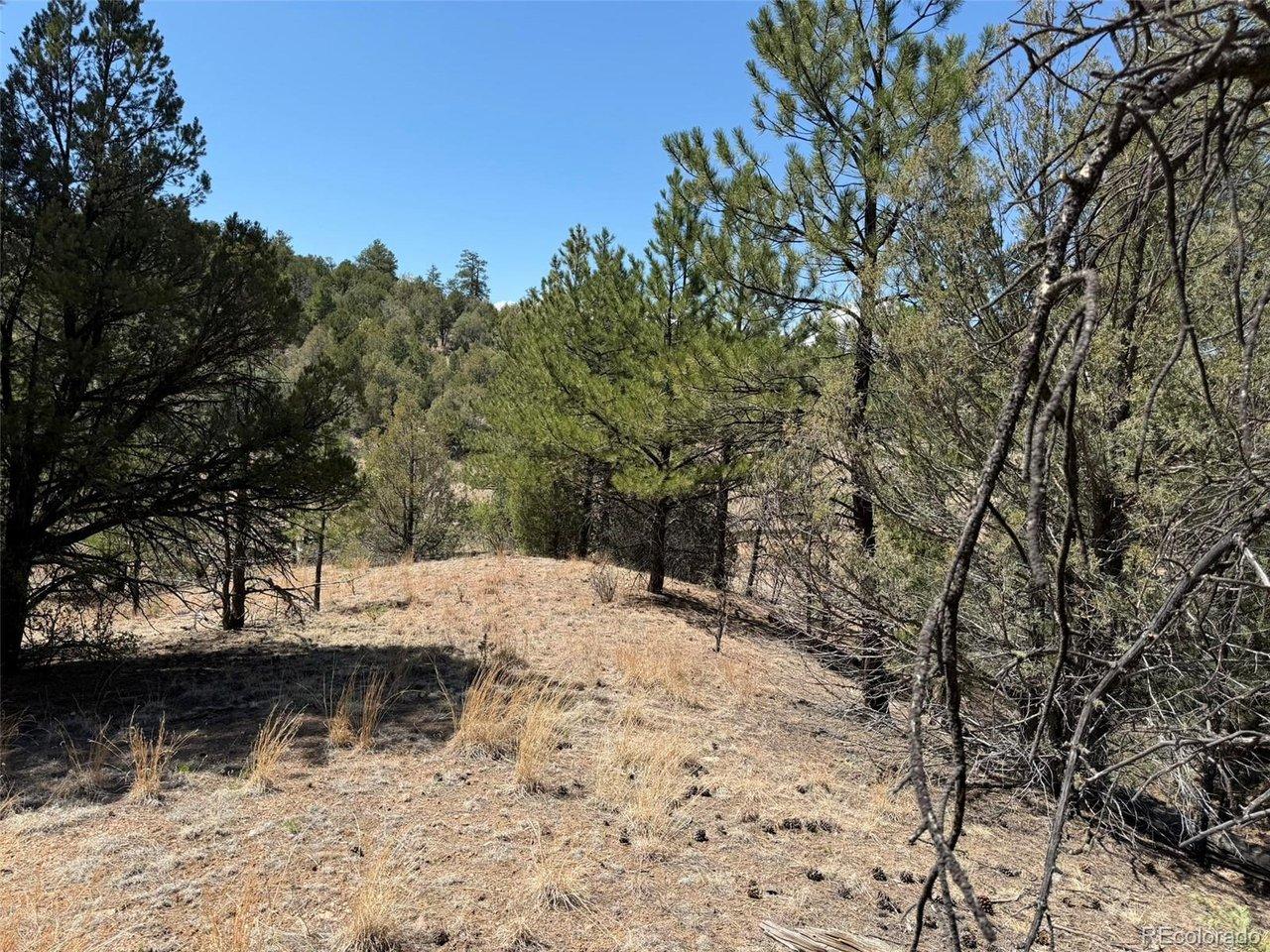 Image 4 Image 4