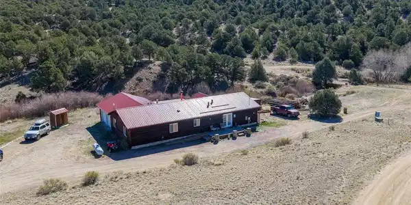 Image 3: BLM in Background Image 3: BLM in Background