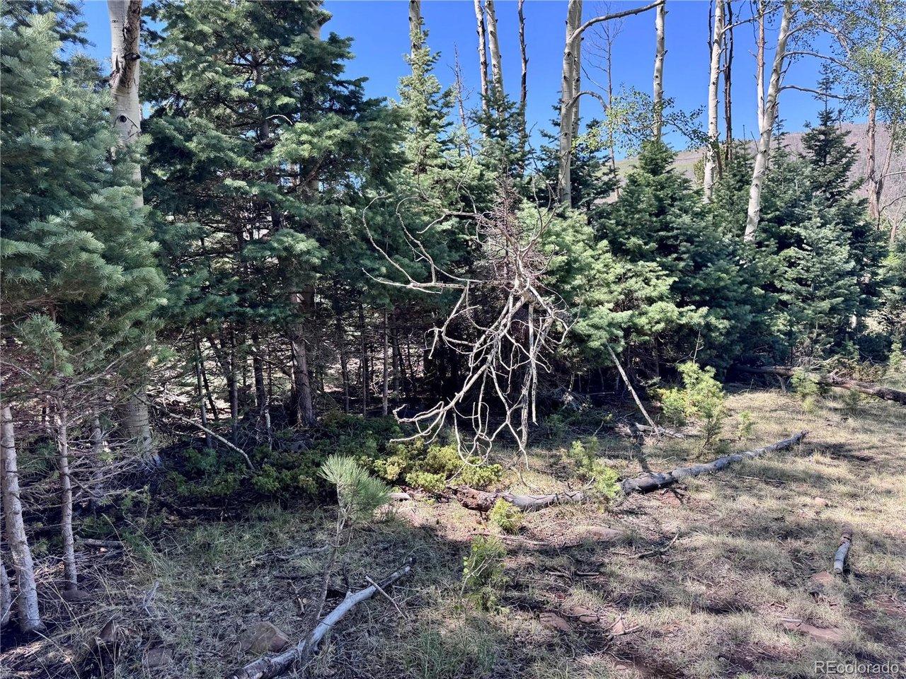 Image 4 Image 4