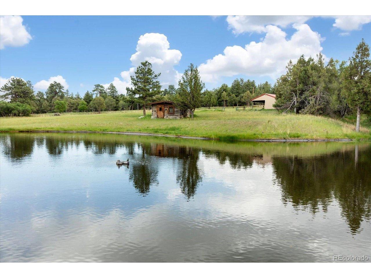 Image 4: Stocked Pond with Rainbow Trout Image 4: Stocked Pond with Rainbow Trout