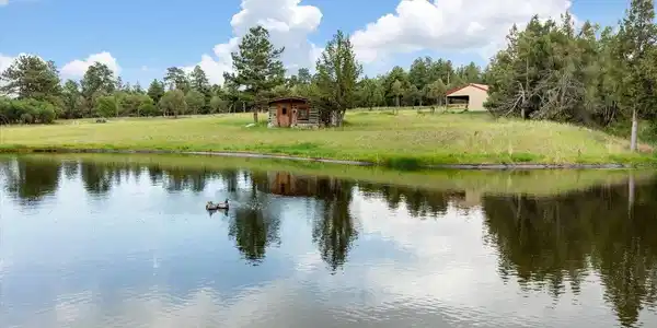 Image 4: Stocked Pond with Rainbow Trout