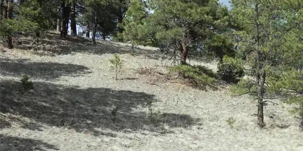 Image 3 Image 3