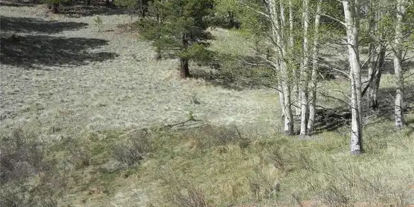 Image 4 Image 4