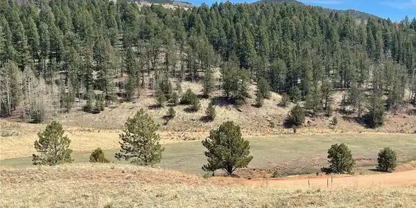 Image 4 Image 4