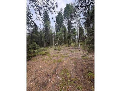 111 Elk Creek Dr