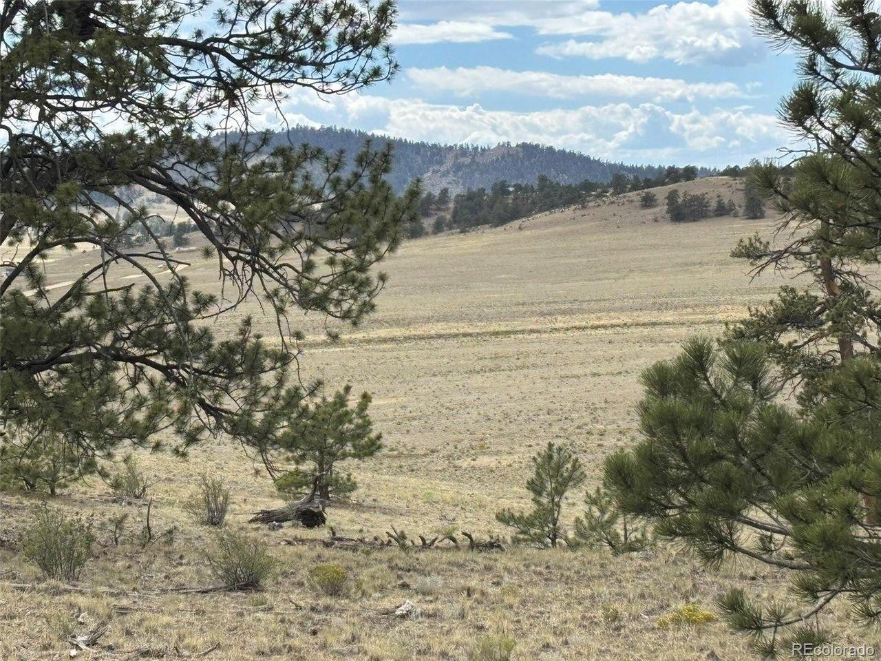 Image 2 Image 2